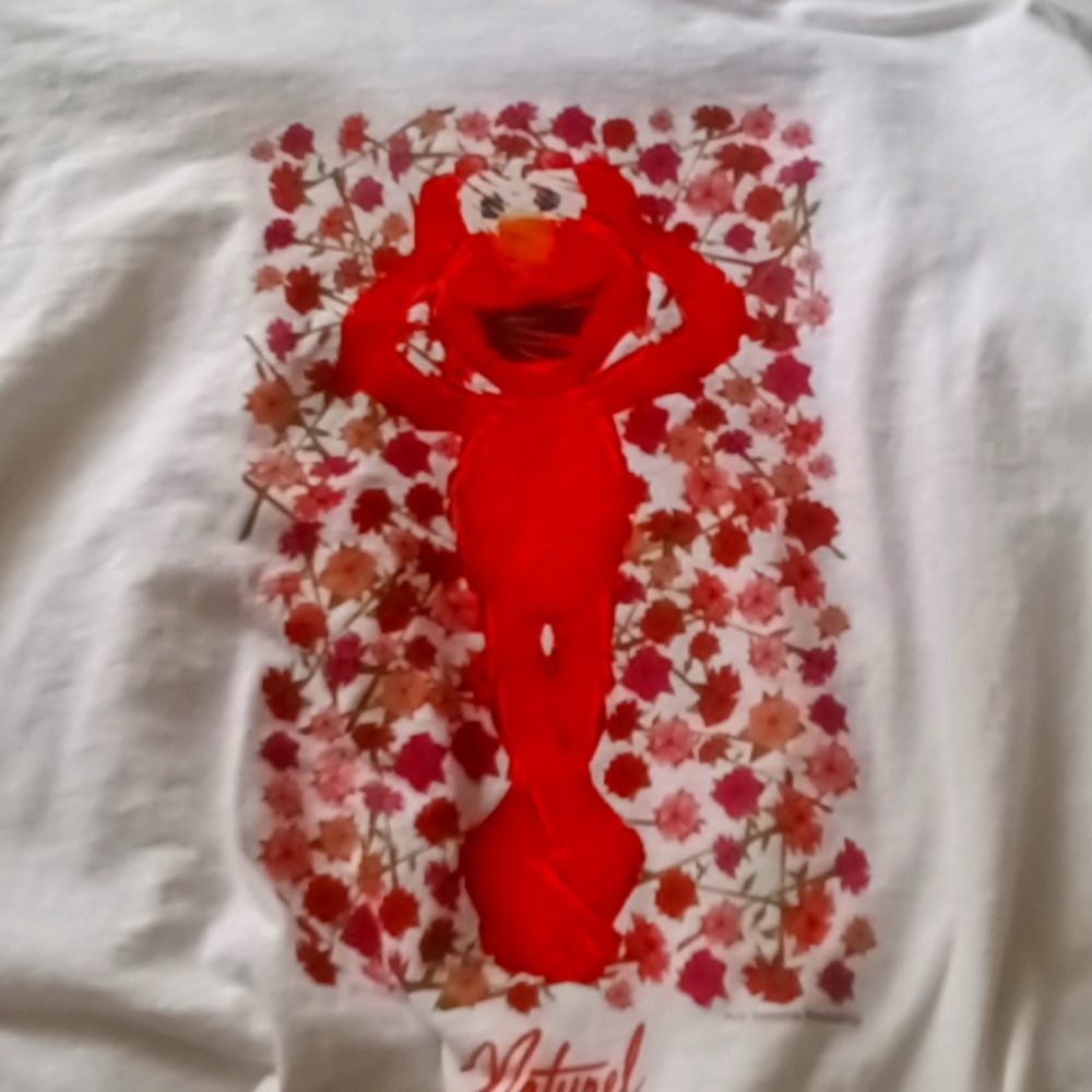 Elmo Champions